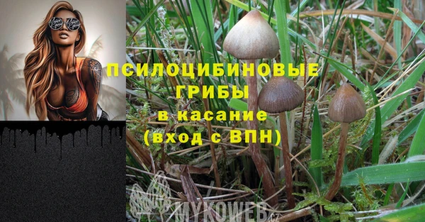 трава Абдулино