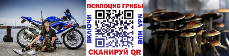 Галлюциногенные грибы Psilocybe  Лабытнанги 